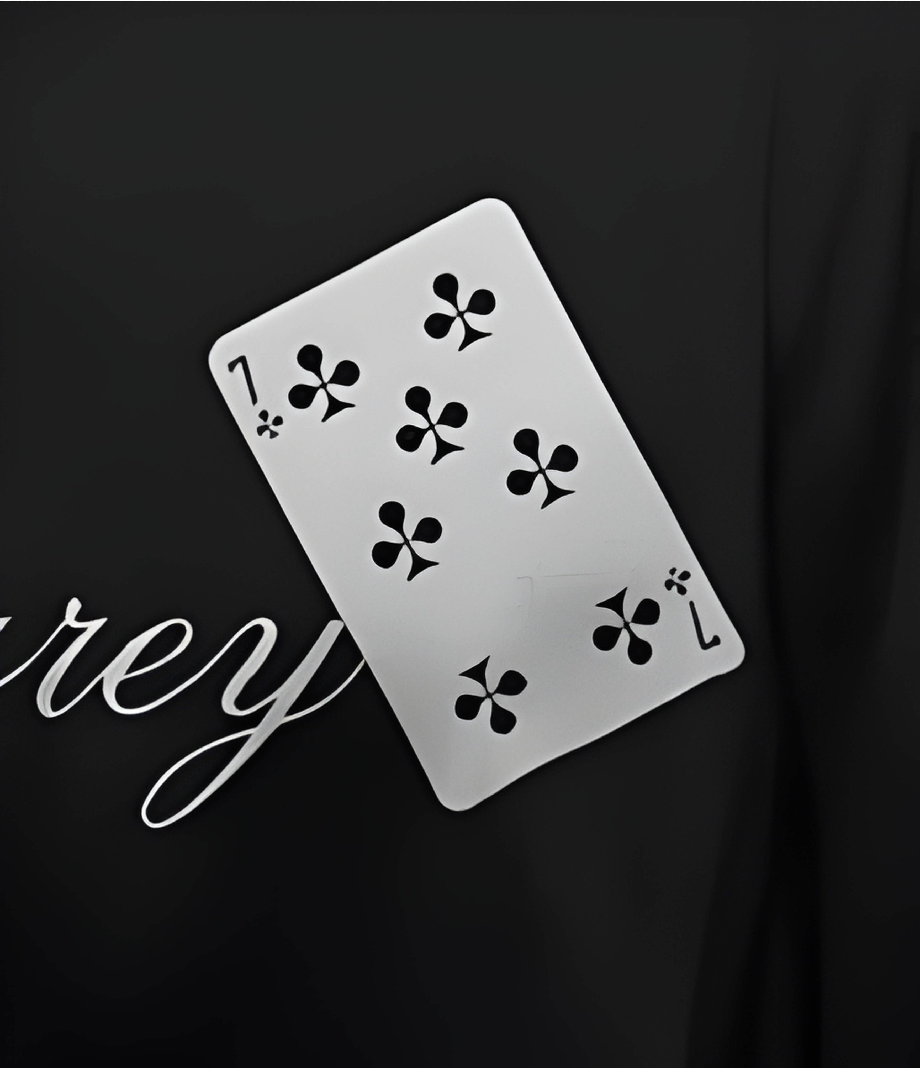 BLUEBIRD GARDEN ART T-SHIRT