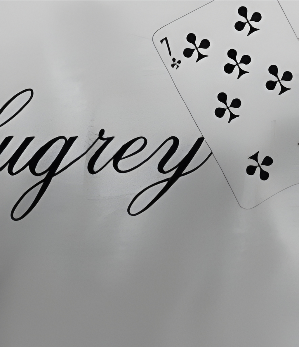 BLUEBIRD GARDEN ART T-SHIRT