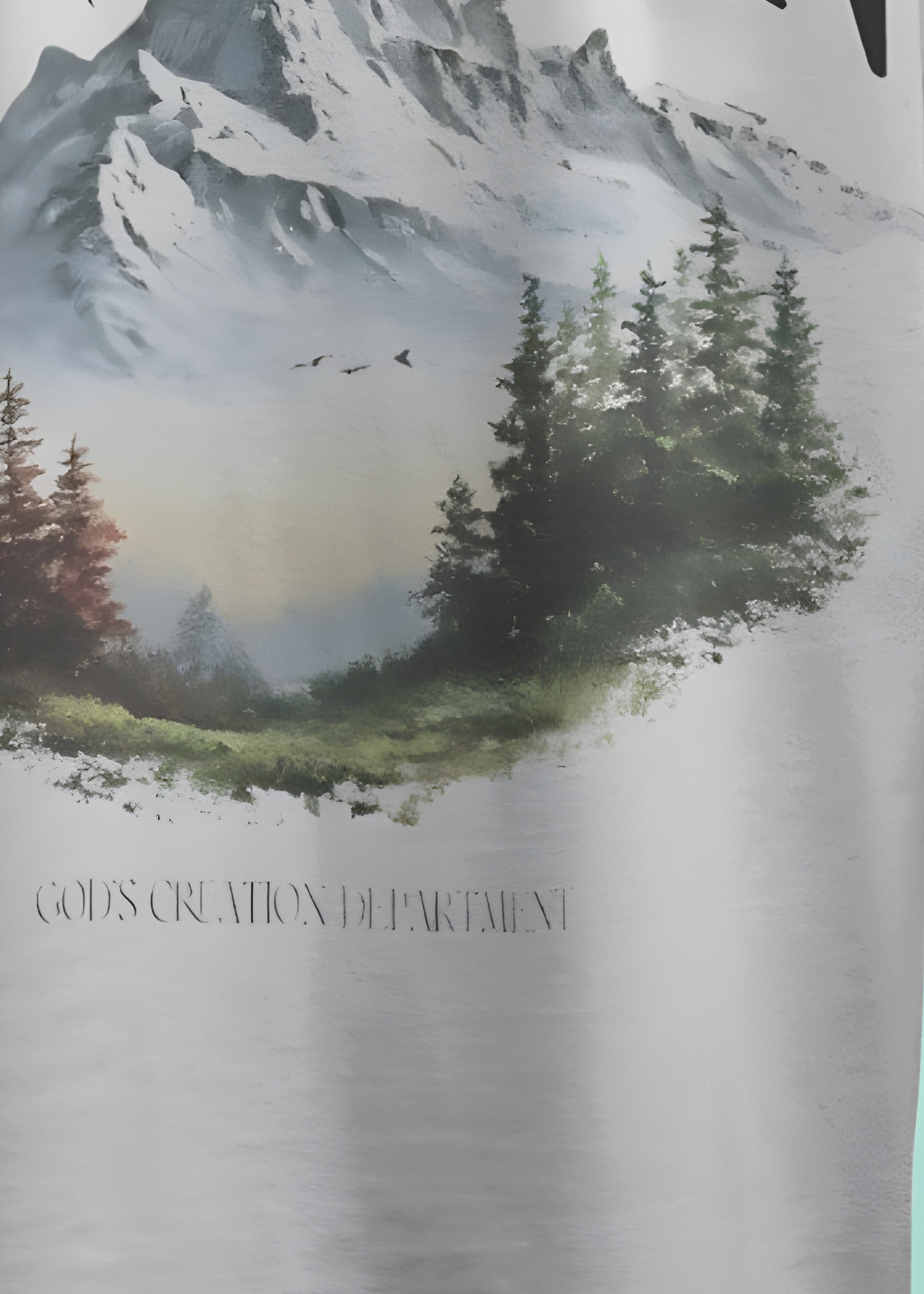 PEAK VISTA GRAPHIC OVERSIZE T-SHIRT