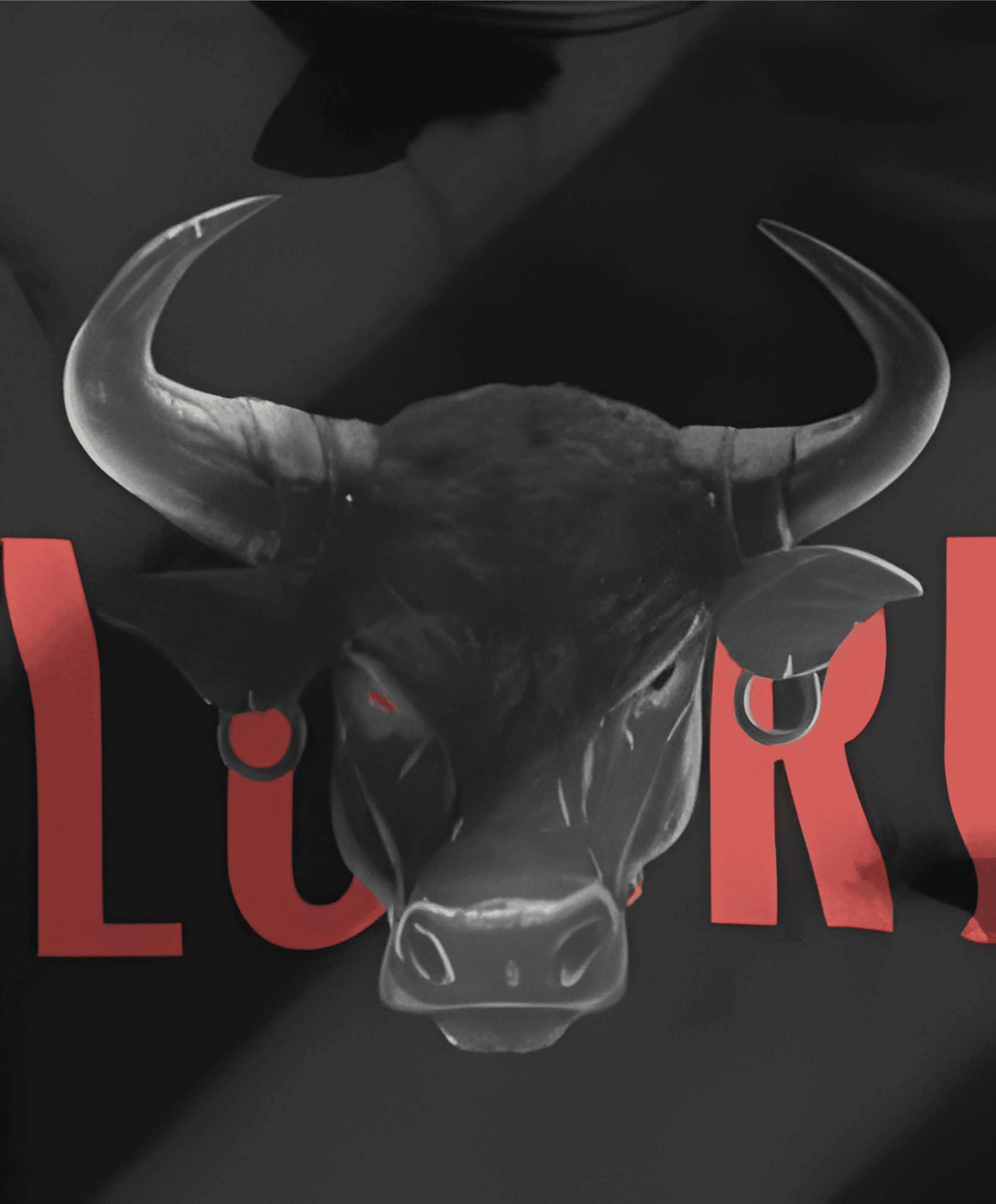 THE RAGING BULL T-SHIRT