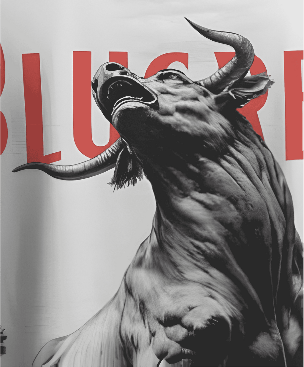 THE RAGING BULL T-SHIRT