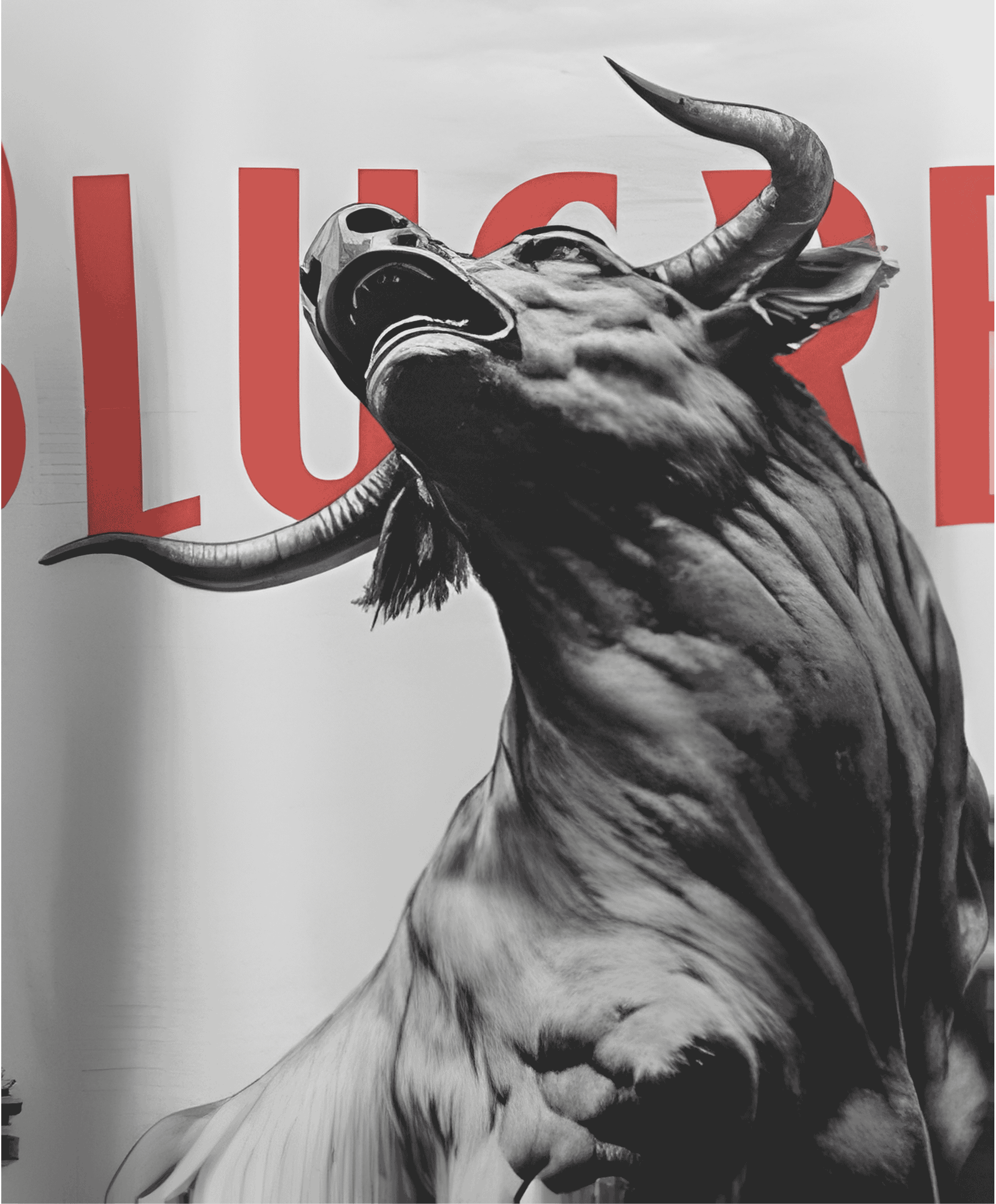 THE RAGING BULL T-SHIRT