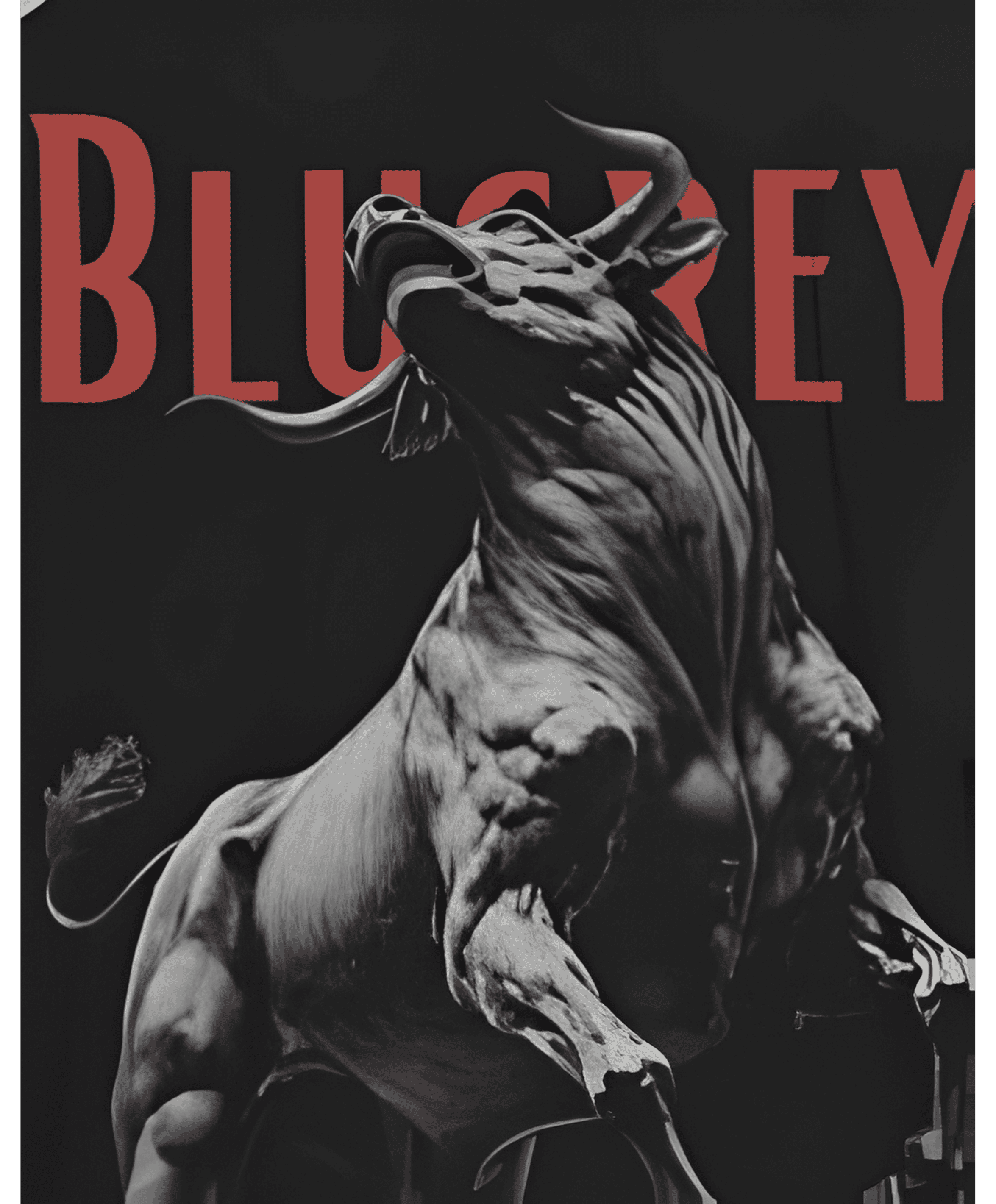 THE RAGING BULL T-SHIRT