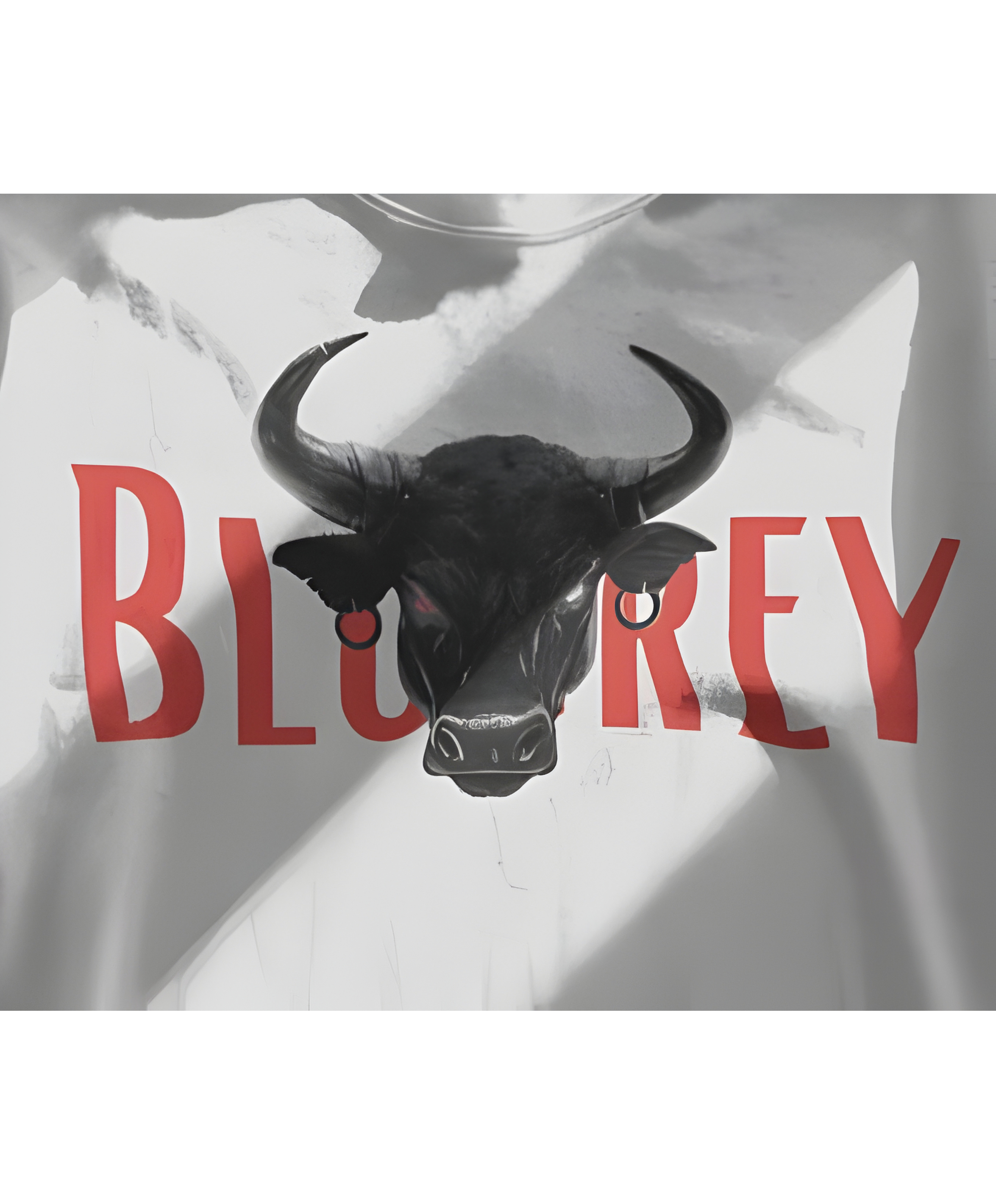 THE RAGING BULL T-SHIRT