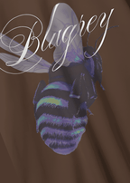 BLUE BEE BROWN T-SHIRT