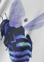 BLUE BEE WHITE T-SHIRT