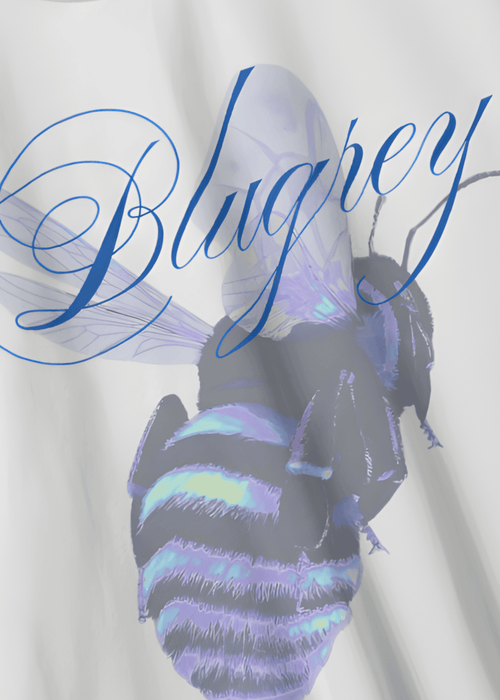 BLUE BEE WHITE T-SHIRT