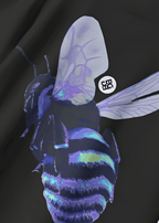 BLUE BEE BLACK T-SHIRT